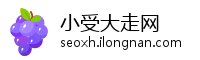 小受大走网